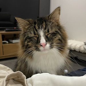 Meet your Posher, Jowei